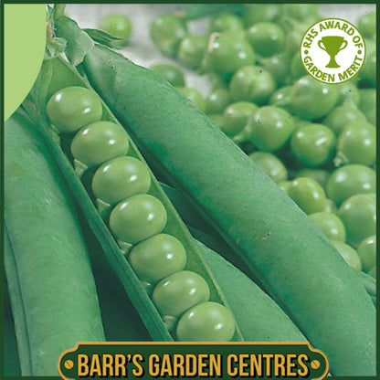 Johnsons - Pea (early) Kelvedon Wonder - 350 Seeds