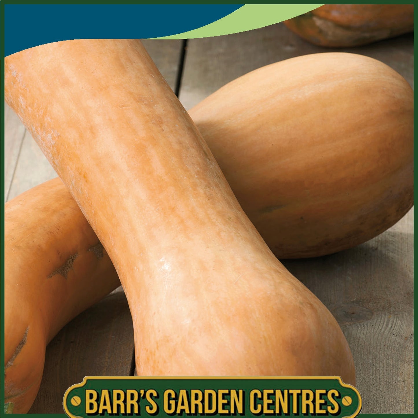 Johnsons - Squash (winter) Tahiti Melon - 10 Seeds