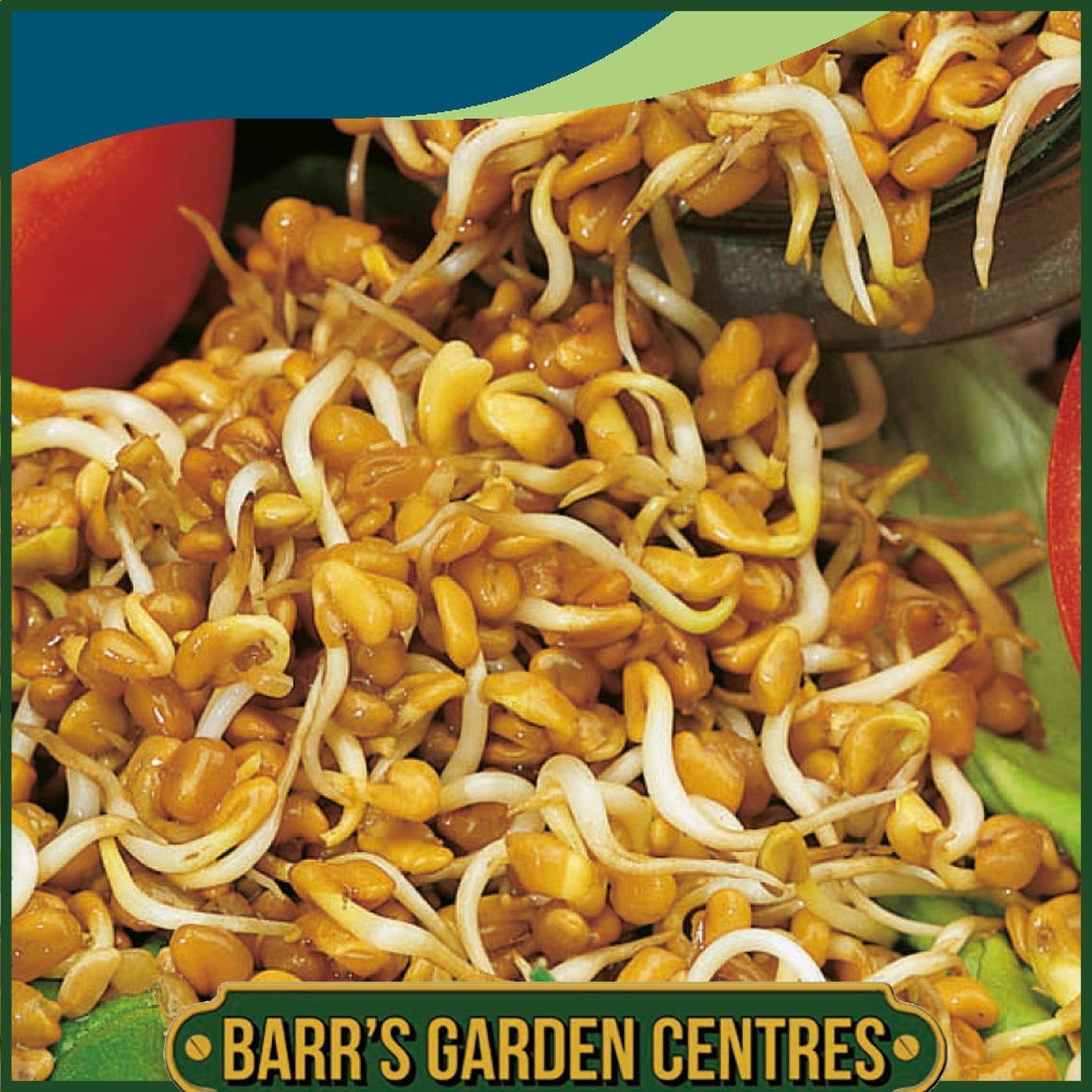 Johnsons - Fenugreek Sprouting Seeds - 30 Seeds