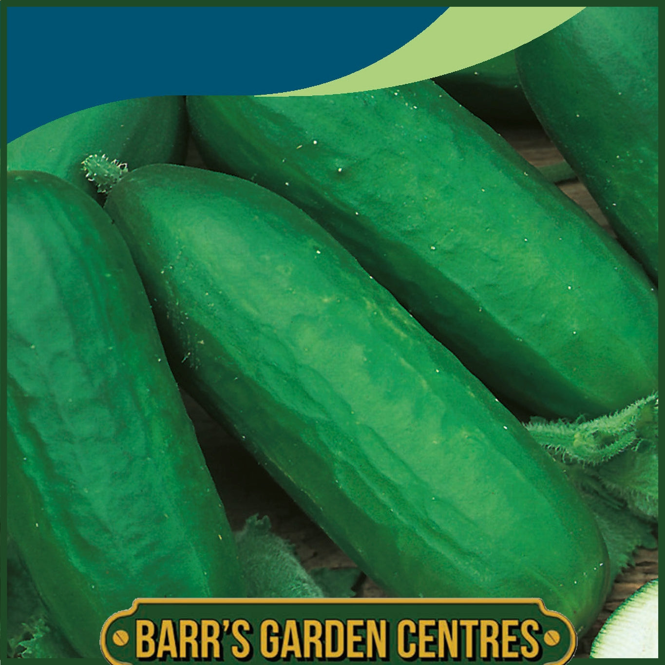 Johnsons - Cucumber Beth Alpha - 40 Seeds
