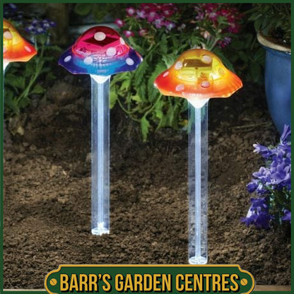 Smart Solar Funky Fungus - 4 PC Carry Pack