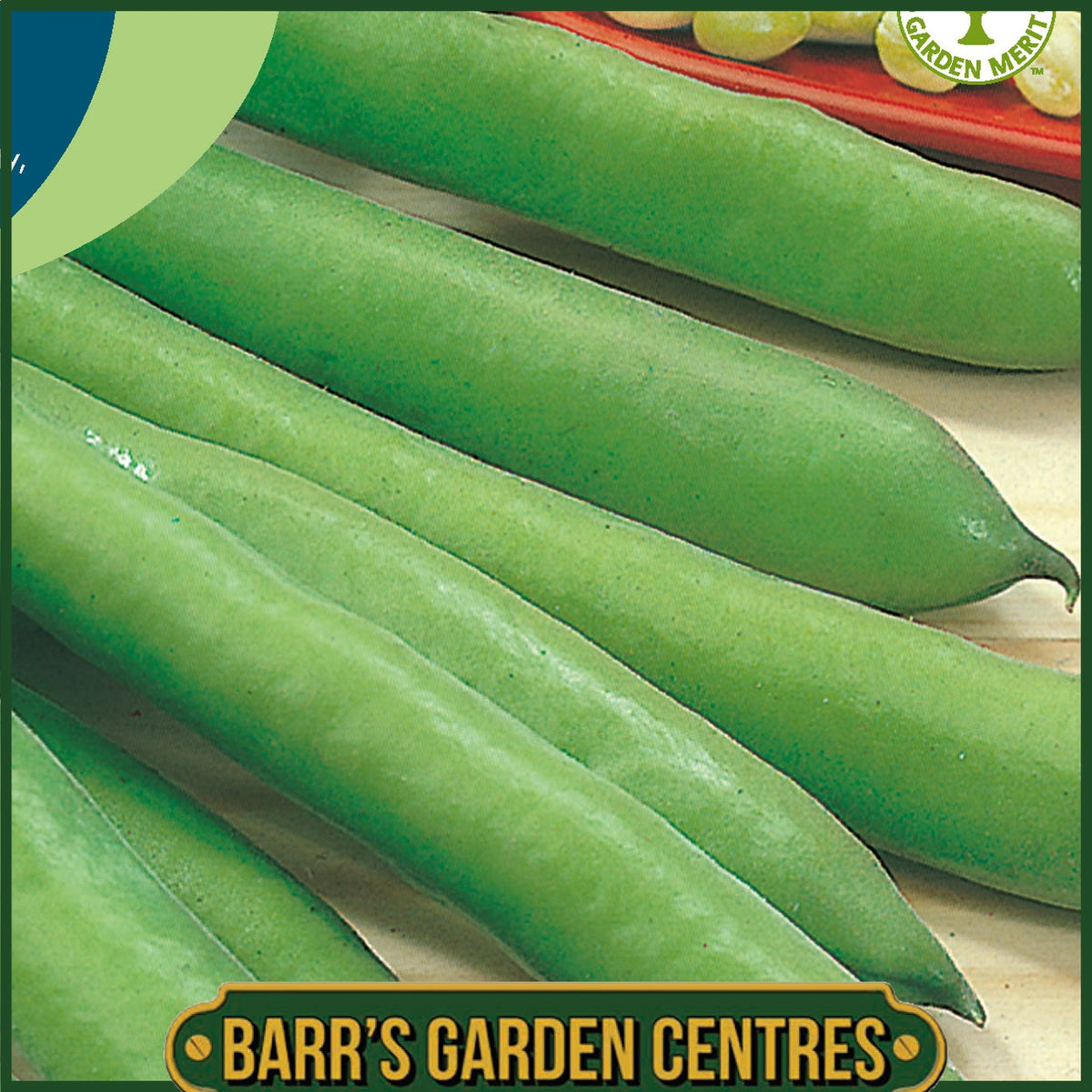 Johnsons - Broad Bean Aguadulce - 45 Seeds