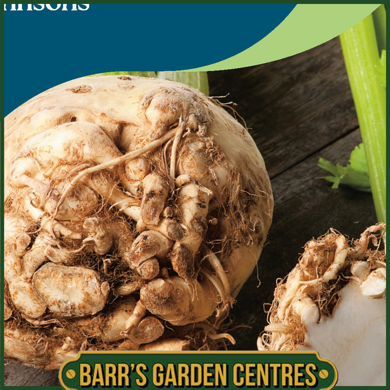 Johnsons - Celeriac Neon F1 - 250 Seeds
