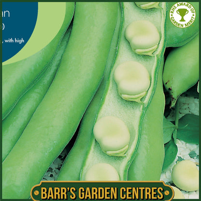 Johnsons - Broad Bean Witkiem (manita) - 45 Seeds