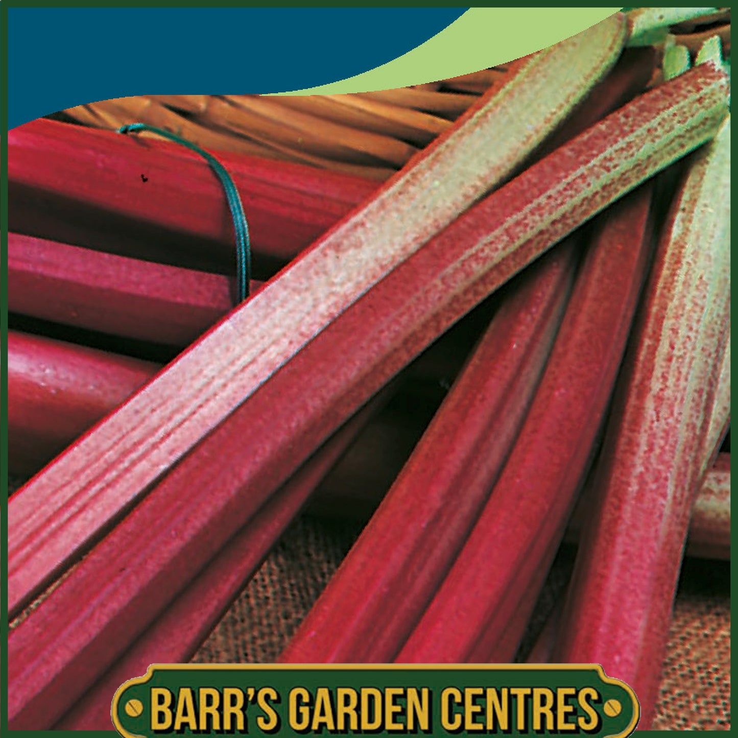 Johnsons - Rhubarb Victoria - 50 Seeds