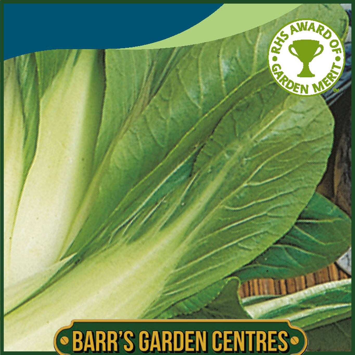 Johnsons - Pak Choi Choko F1 - 175 Seeds