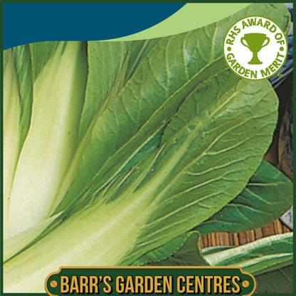 Johnsons - Pak Choi Choko F1 - 175 Seeds