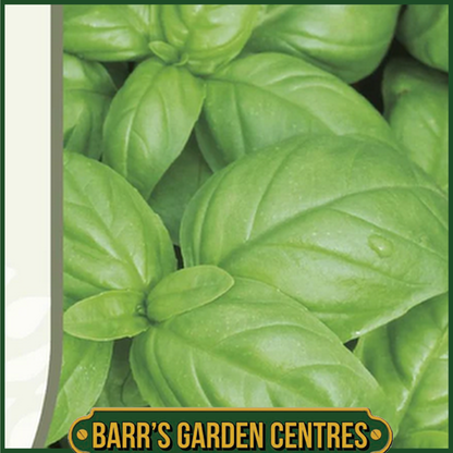 RHS Basil Aroma 2 - 300 Seeds