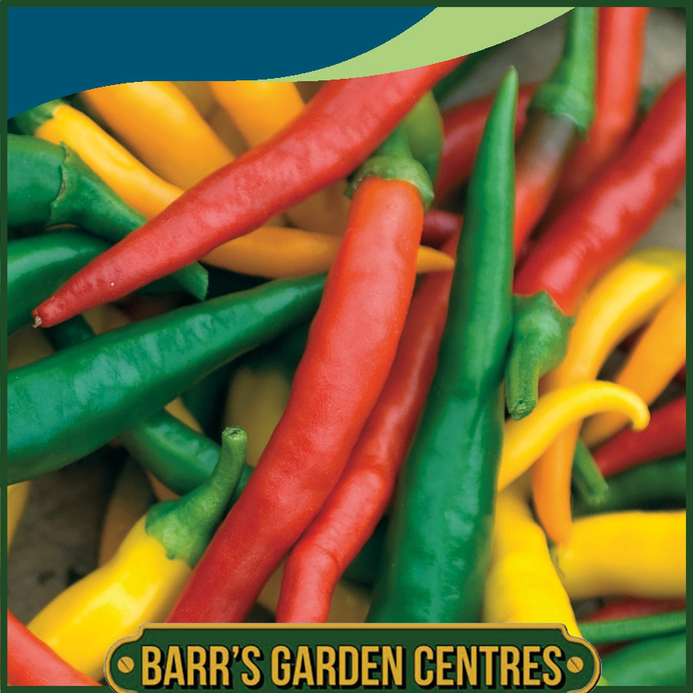 Johnsons - Pepper (hot) Devil's Brew - 10 Seeds