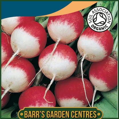 Johnsons -  Organic Vegetable - Radish Sparkler 3 - 450 Seeds