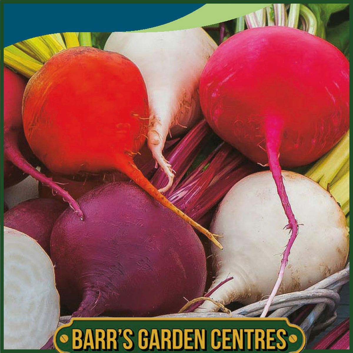 Johnsons - Beetroot Mix - 250 Seeds
