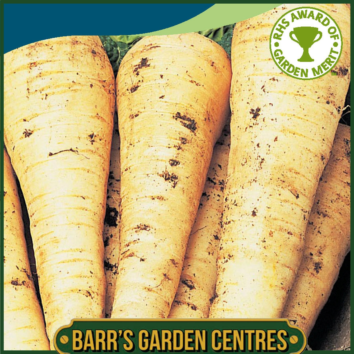 Johnsons - Parsnip Palace F1 - 200 Seeds