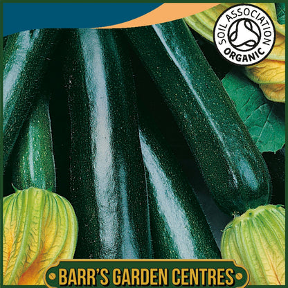 Johnsons - Organic Vegetable - Courgette Black Beauty Org - 10 Seeds