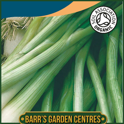Johnsons -  Organic Vegetable - Onion (spring) White Lisbon - 500 Seeds