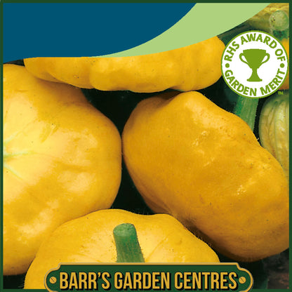 Johnsons - Squash (summer) Sunburst F1 - 10 Seeds