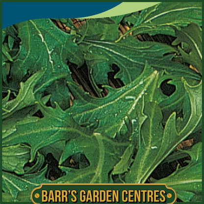 Johnsons - Mizuna - 750 Seeds