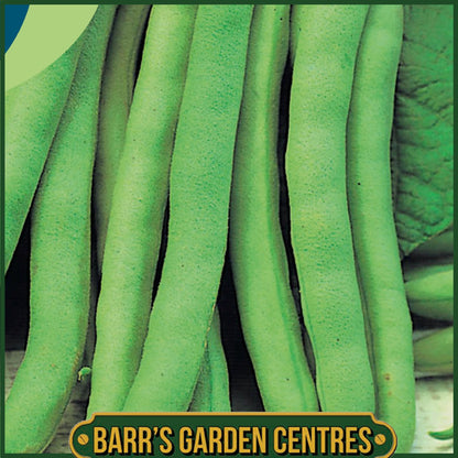 Johnsons - Dwarf French Bean Tendergreen - 125 Seeds