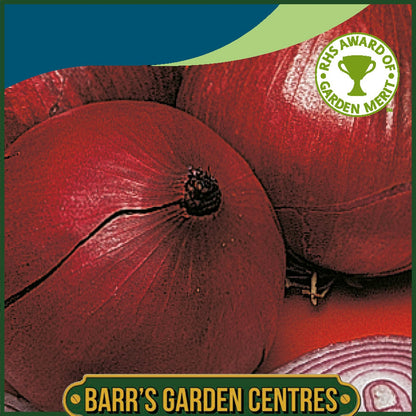 Johnsons - Onion Red Baron - 175 Seeds