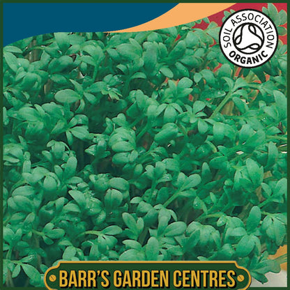 Johnsons - Organic Vegetable - Cress Curled - 2500 Seeds
