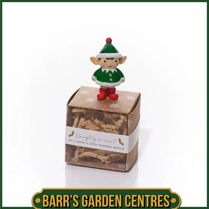 Christmas Tiny World Resin Elf Keepsake With Gift Box