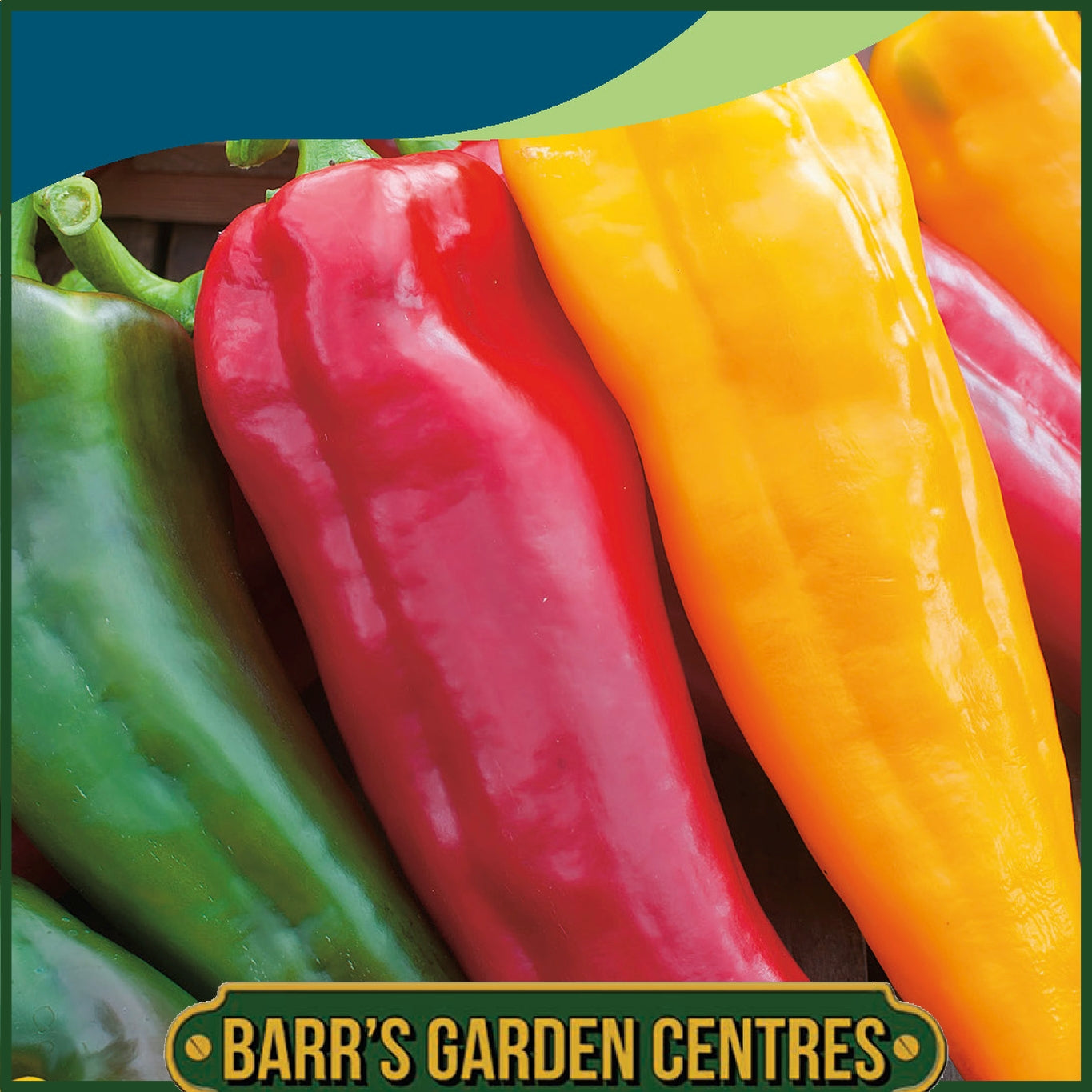 Johnsons - Pepper (sweet) Corno Di Toro Mix - 30 Seeds
