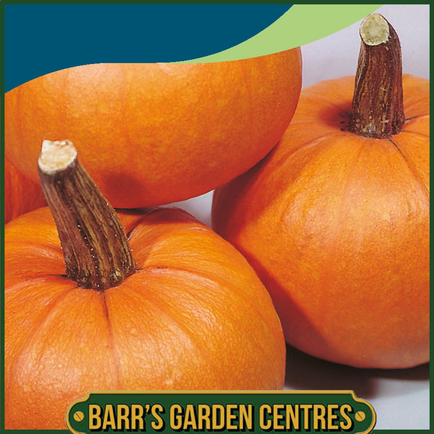 Johnsons - Pumpkin Small Sugar - 25 Seeds