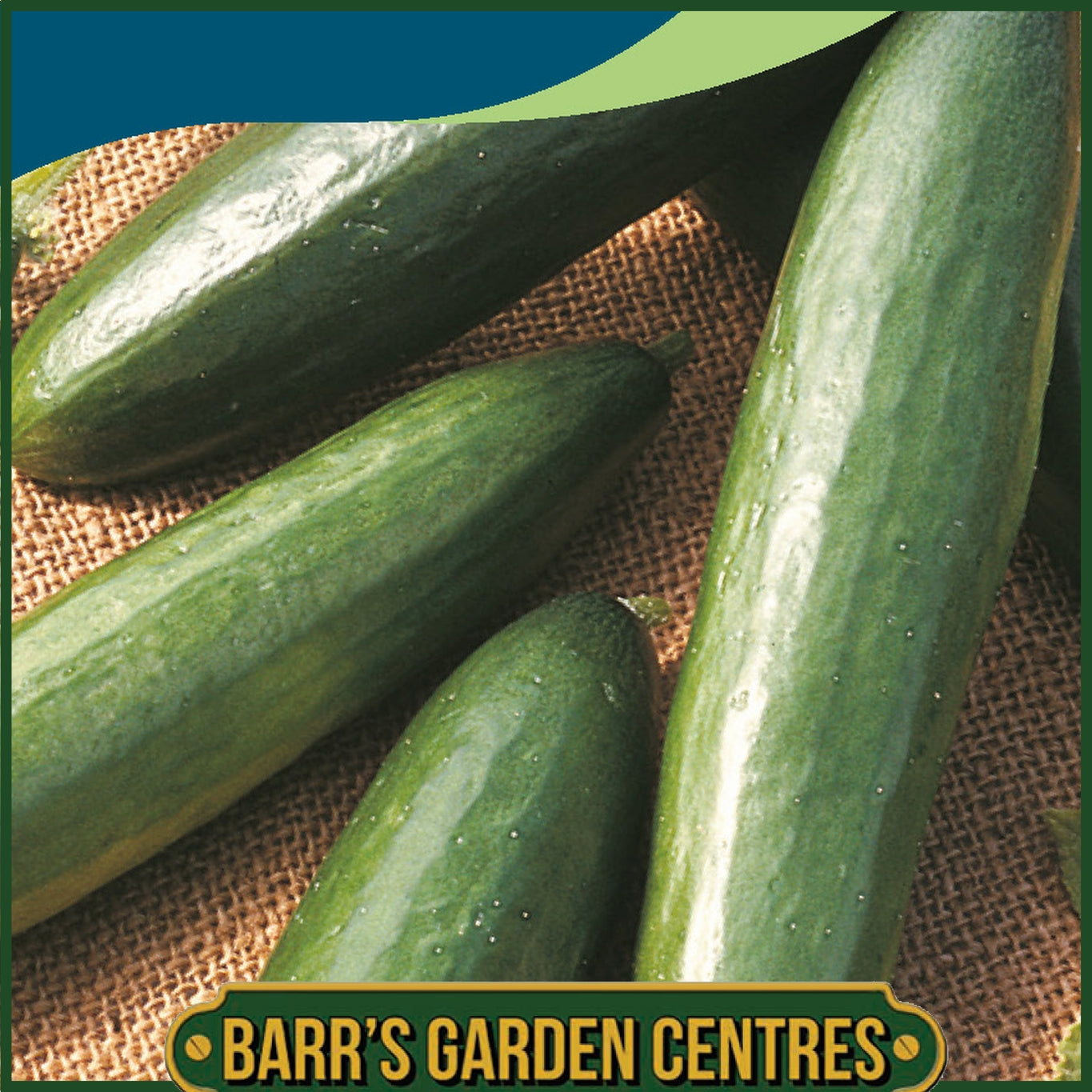 Johnsons - Cucumber La Diva - 10 Seeds