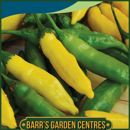 Johnsons - Pepper (hot) Lemon - 15 Seeds