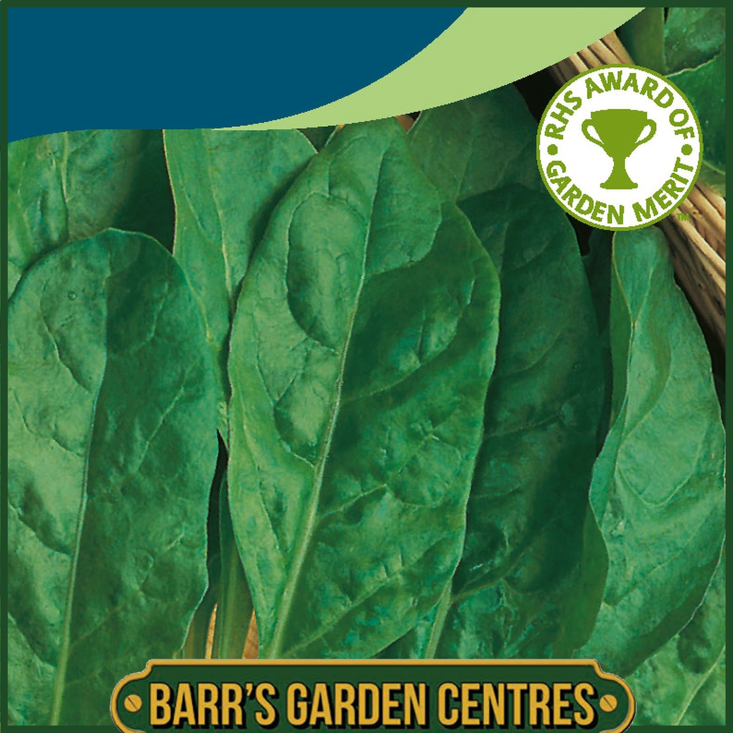 Johnsons - Spinach Beet Perpetual Spinach - 250 Seeds