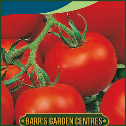 Johnsons - Tomato Outdoor Girl - 30 Seeds
