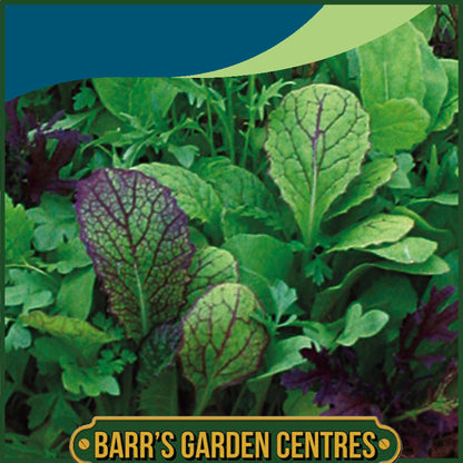 Johnsons - Salad Leaves Spicy Mix - 750 Seeds