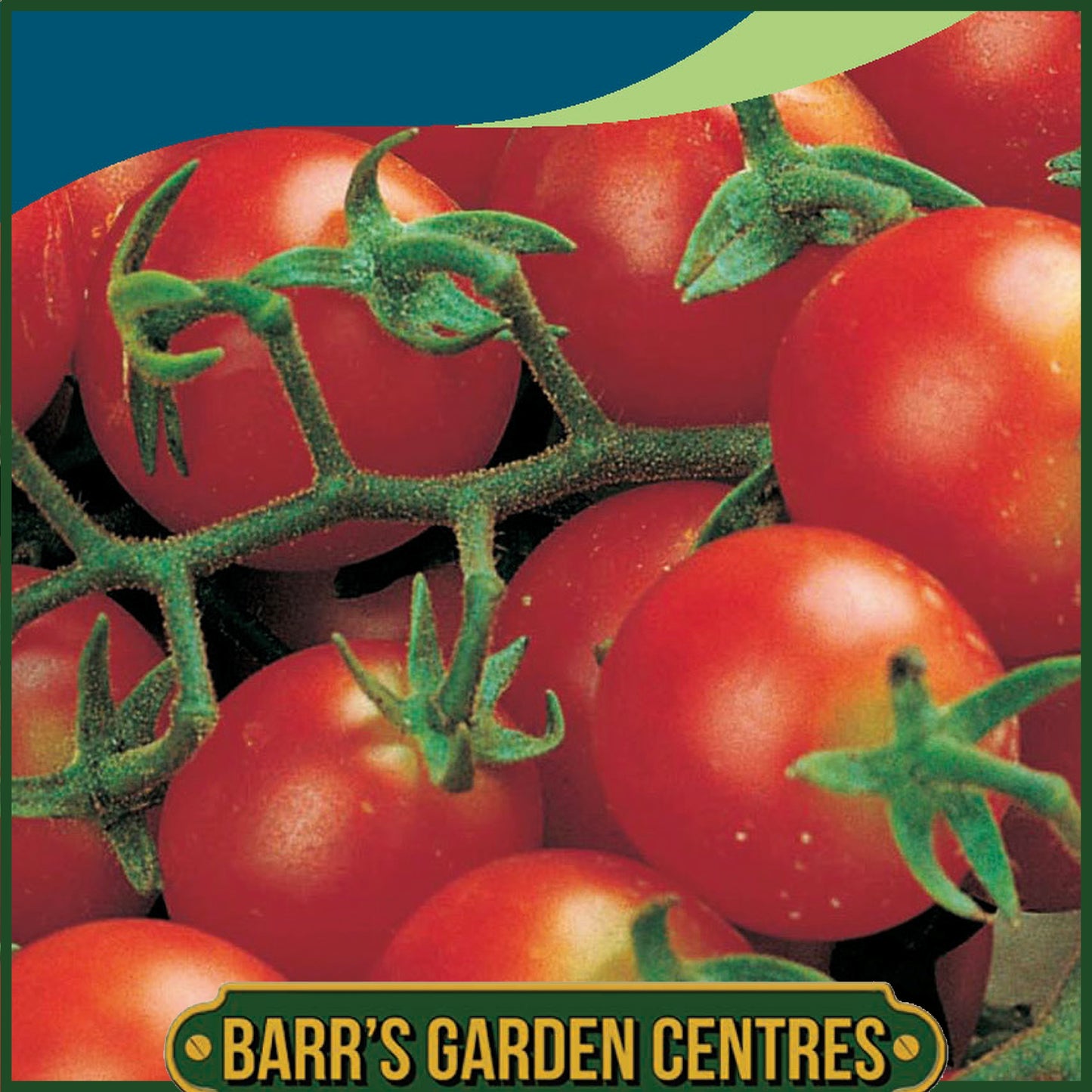 Johnsons - Tomato Gardener's Delight - 30 Seeds