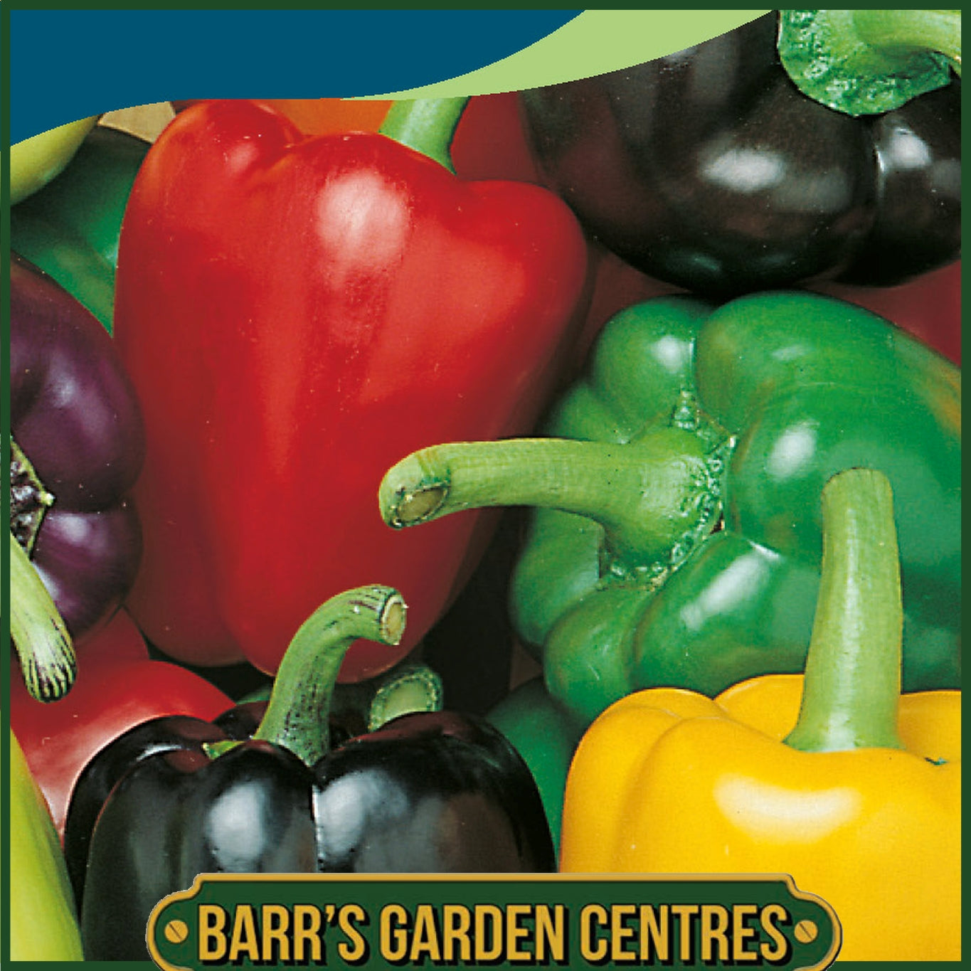 Johnsons - Pepper (sweet) Colour Spectrum - 50 Seeds
