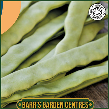 Johnsons - Organic Vegetable - Climbing French Bean Limka - 30 Seeds