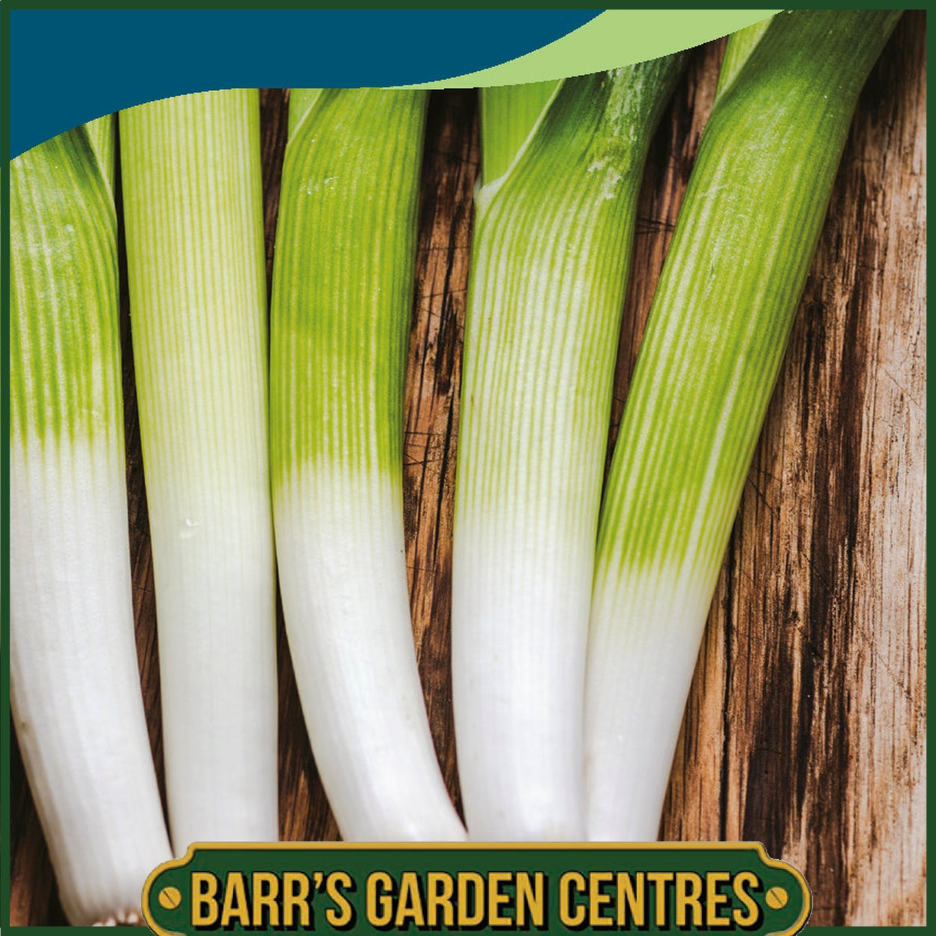 Johnsons - Leek Autora F1 - 30 Seeds