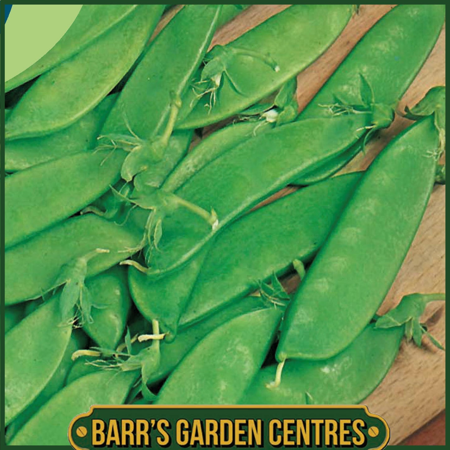 Johnsons - Pea (mangetout) Norli - 150 Seeds