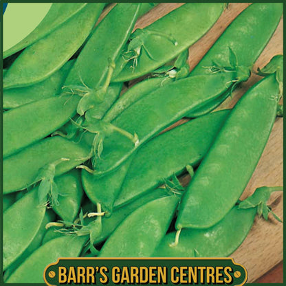 Johnsons - Pea (mangetout) Norli - 150 Seeds