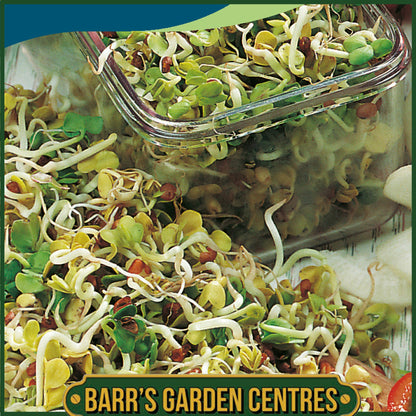 Johnsons - Radish (mooli) Sprouting Seeds - 1500 Seeds