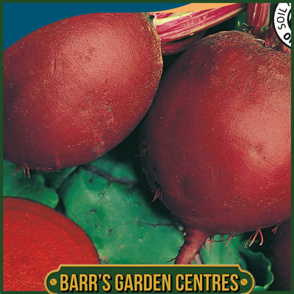 Johnsons - Organic Vegetable - Beetroot Detroit 2 - 275 Seeds