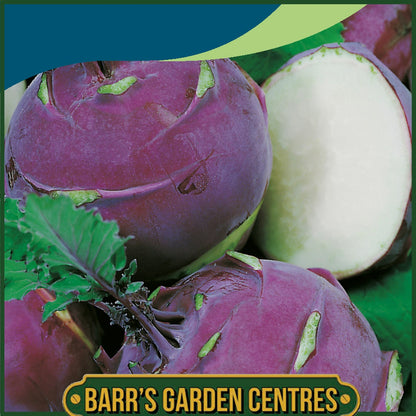 Johnsons - Kohl Rabi Ballot F1 - 50 Seeds