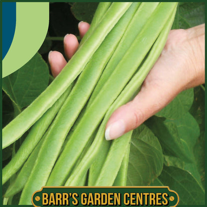 Johnsons - Runner Bean Moonlight - 40 Seeds