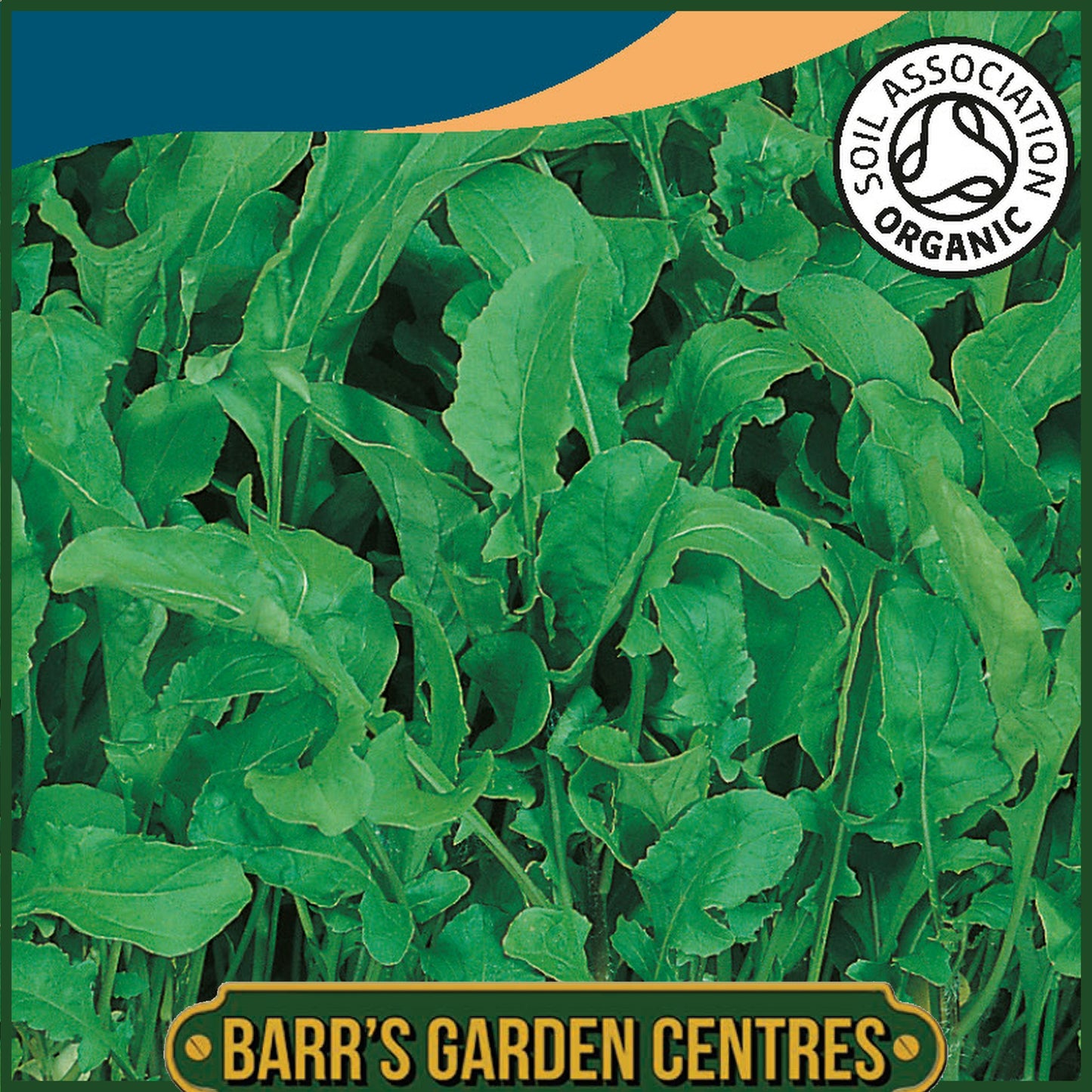 Johnsons - Organic Vegetable - Rocket - 1000 Seeds
