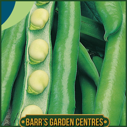 Johnsons - Broad Bean Bunyards Exhibition - 45 Seeds