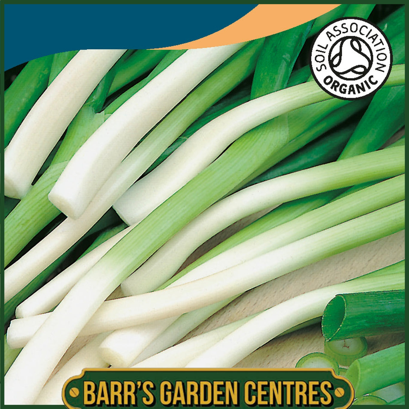 Johnsons -  Organic Vegetable - Onion (spring) Ishikura - 350 Seeds