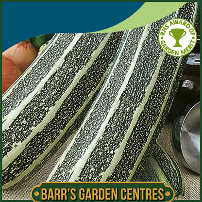 Johnsons - Marrow Tiger Cross F1 - 10 Seeds