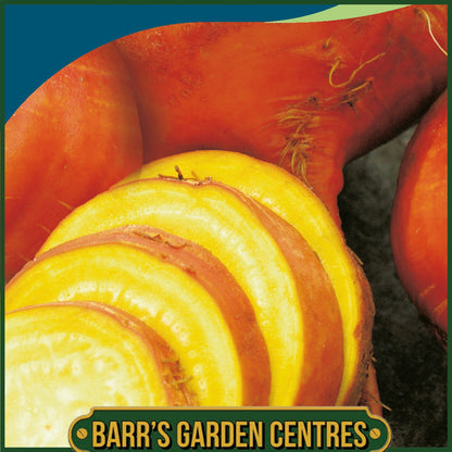 Johnsons - Beetroot Burpees Golden - 125 Seeds