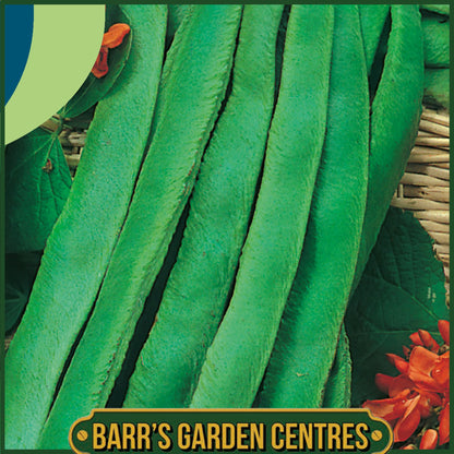 Johnsons - Runner Bean Scarlet Emperor - 40 Seeds