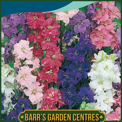 Johnsons - Larkspur Giant Imperial Mix - 300 Seeds