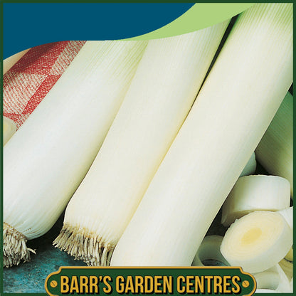 Johnsons - Leek Lyon (prizetaker) - 500 Seeds
