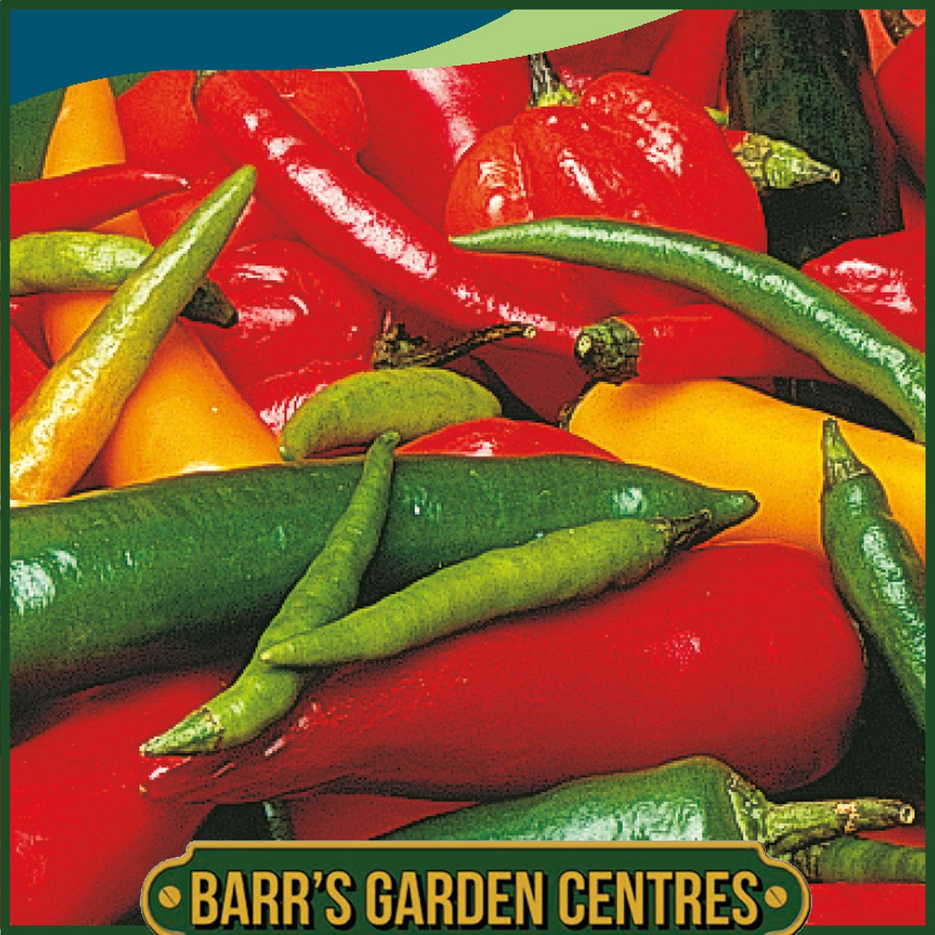 Johnsons - Pepper (hot) Caribbean Blend - 30 Seeds